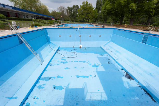 Best Water damage restoration mold remediation  in Geneva, IN