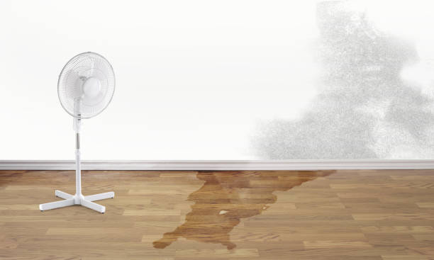 Best Professional water damage repair  in Geneva, IN