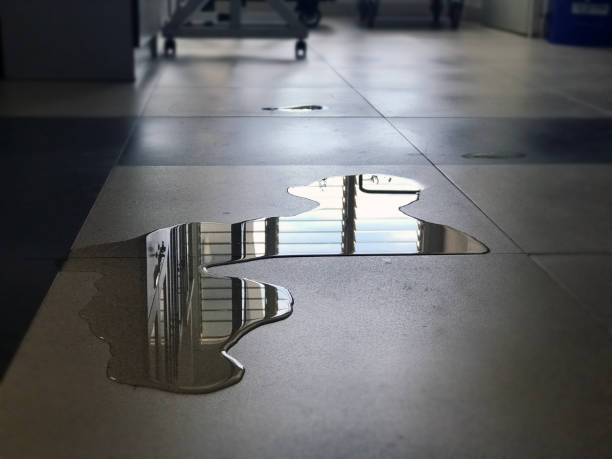 Best Water damage restoration services  in Geneva, IN
