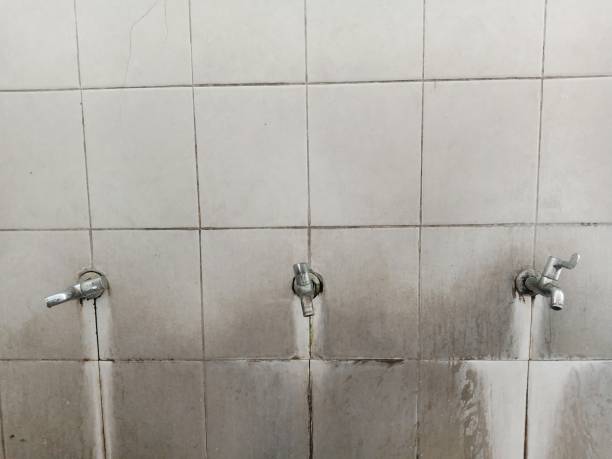 Best Local water damage restoration  in Geneva, IN