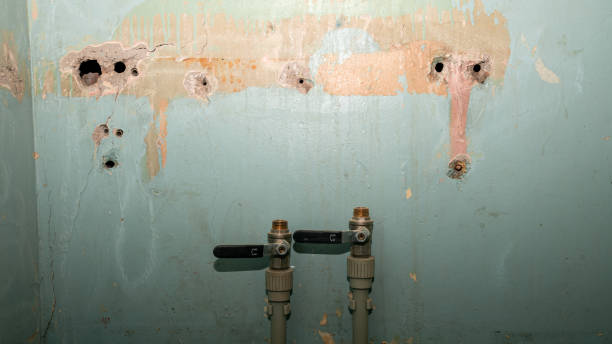 Best Sewage cleanup and water damage restoration  in Geneva, IN