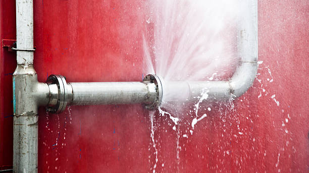 Best Flood restoration services  in Geneva, IN